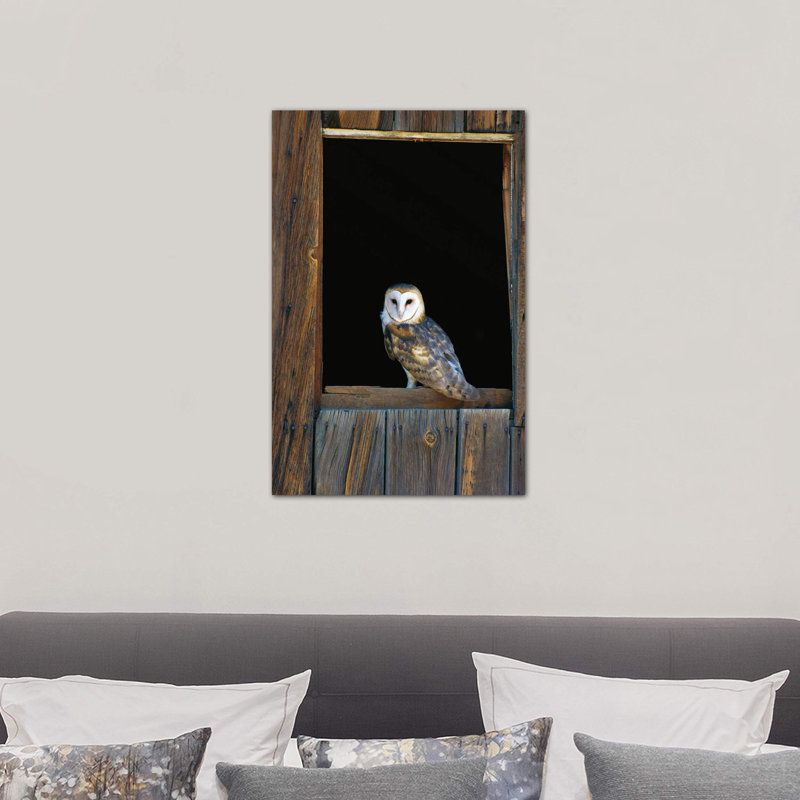 Barn Owl Perching On Barn Window, North America by Konrad Wothe - Wrapped Canvas Print, 66.04 cm H x 45.72 cm W x 3.175 cm D