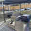 Customer photo 2 of 2