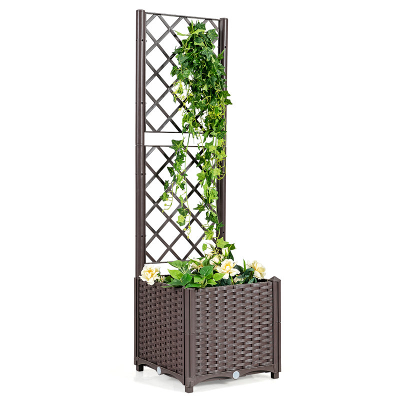 Paramonos Wood Planter Box