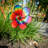 Tie Dye Daze Flower Spinner