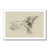 White Framed Paper Print is unavailable
