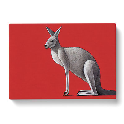 Kangaroo - Wrapped Canvas Print
