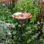 Bain d'oiseaux avec piquet Hummingbird