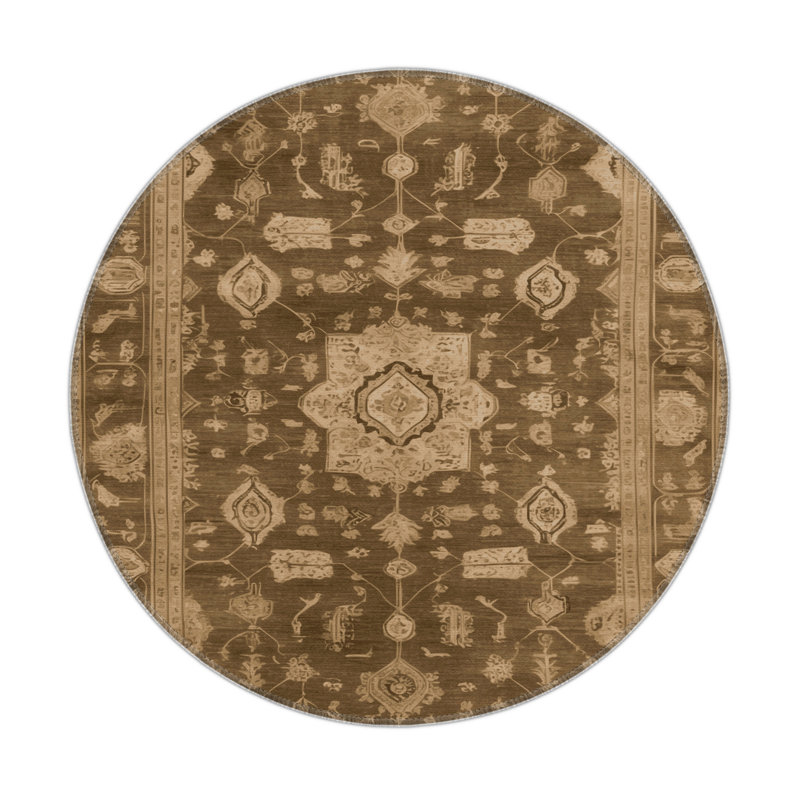 Tapis intérieur et extérieur brun Overdyed, Rond 5 pi