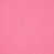 Begonia Pink