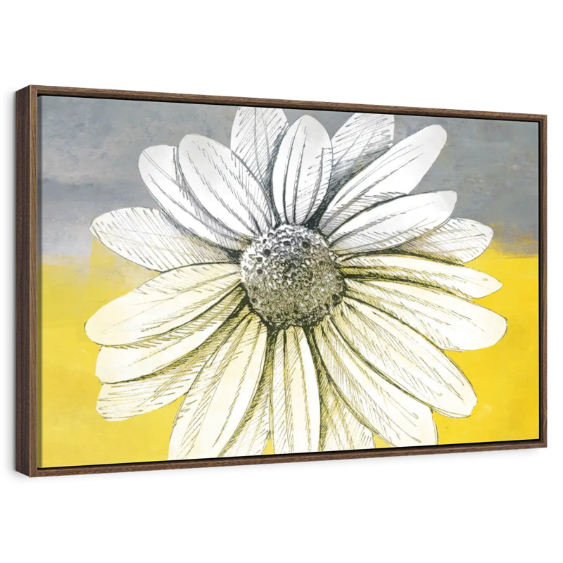 Marguerite sur les couleurs, 13 po x 9 po, Cadre flottant en noyer