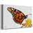 Wings I-Gallery Wrapped Canvas-1629239701