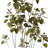 72'' Faux SMOKE TREE Tree in Pot