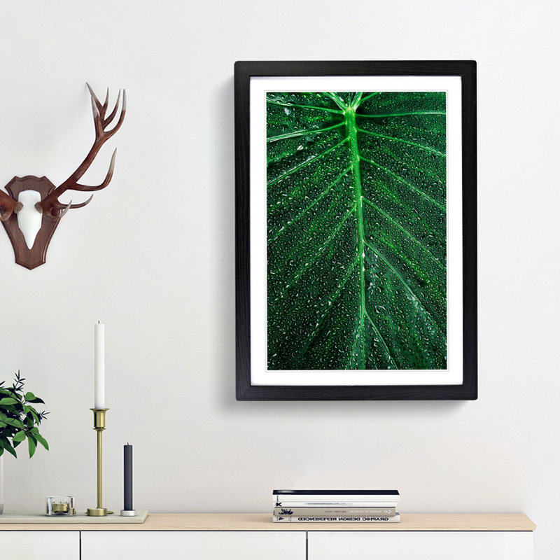 Dewdrops upon a Green Leaf in Abstract - Picture Frame Graphic Art Print, 65cm H x 48cm W x 2cm D, Black Framed