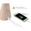 Lampe de bureau blanche 12,2 po USB