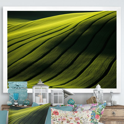 Photographie de prairie verdoyante