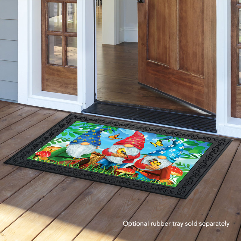 Non-Slip Indoor Doormat