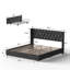 Lit rembourré en velours avec 4 tiroirs de rangement Better Home Products Izayah-812012408-812012411