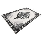 Antwane Oriental Indoor Rug