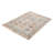 Oriental Indoor Rug-1642953103