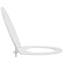 Anthracite Plastic Standard Adjustable Armrests Toilet Seat-1215608315