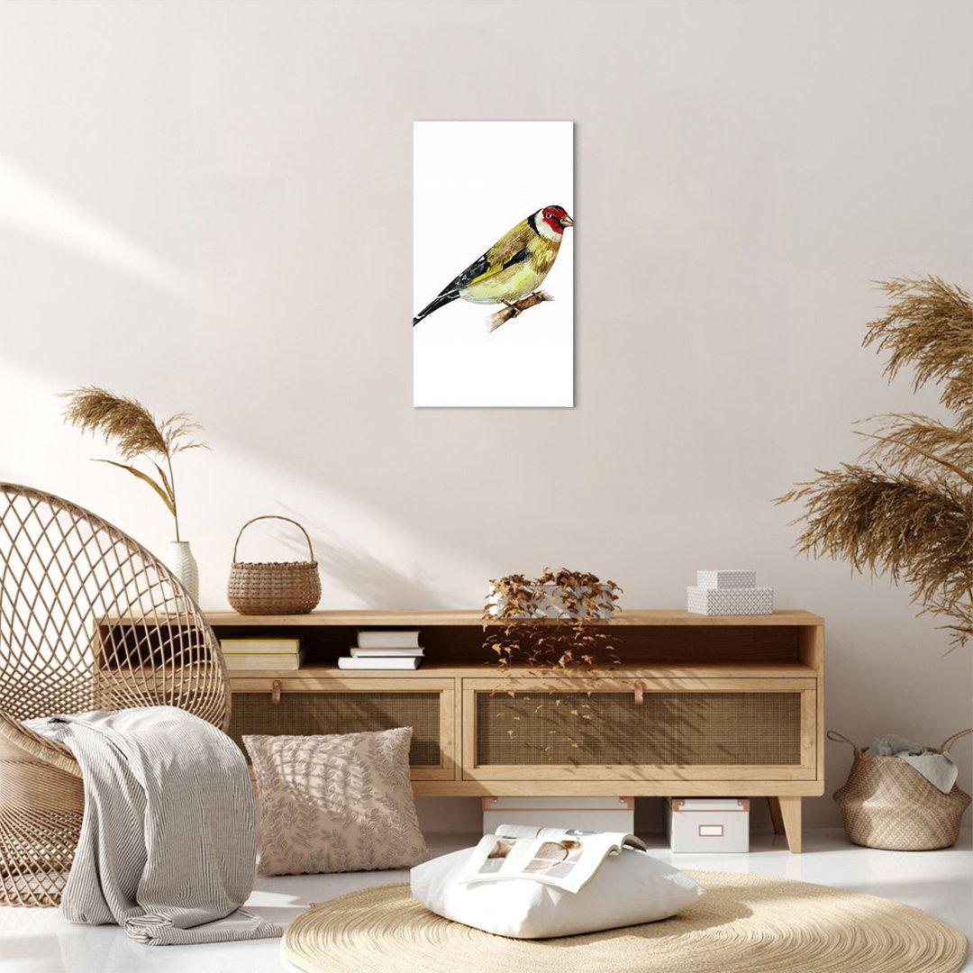 Leinwandbild Goldfinch Bird