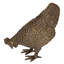 Barnyard Hen Solid Garden Statue