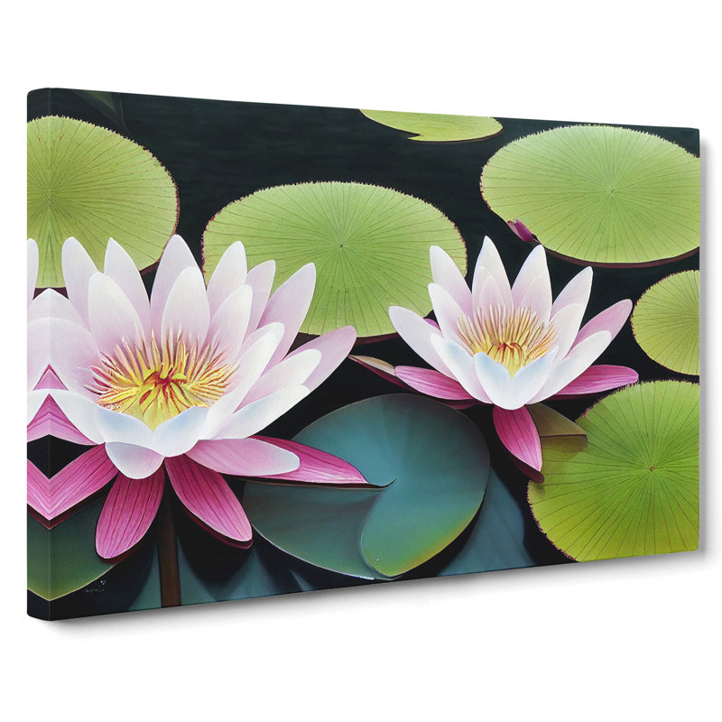 Beguiling Water Lily Flowers - Wrapped Canvas, 35cm H x 50cm W x 3cm D