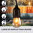 Rentas Indoor / Outdoor 8 - Bulb 24.5 in. Plug-in LED Standard String Light