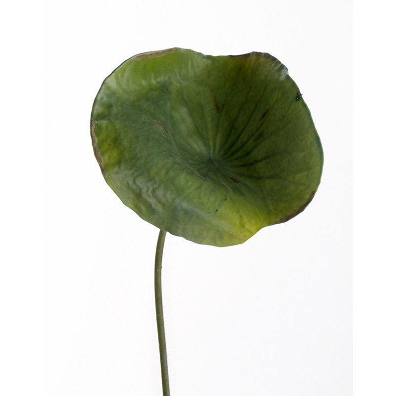 27'' Faux Foliage Plant