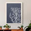 Coraux blancs sur toile indigo bleue C de qualité supérieure - prêts à être accrochés-918046043
