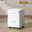 41cm Wide 2 -Drawer File Cabinet-388468506
