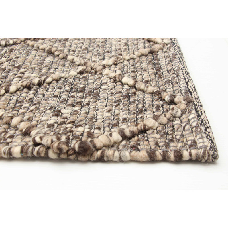 Delayza Performance Hand Braided Wool Rug
