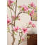 82" Pink Magnolia Flowering Tree in Pot