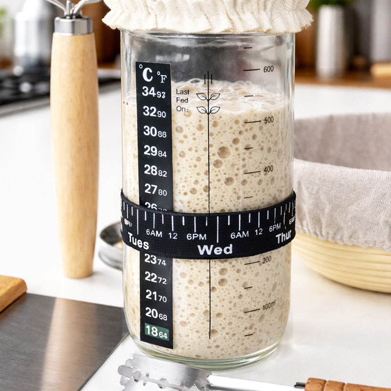 Sourdough Starter Kit