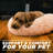 Esse Polyester Pet Bed