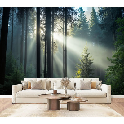 Forest Peel and Stick Wallpaper Sunlight Rays Misty Forest Tall Trees Green Undergrowth Wall Murals 69"H x 96"W Removable PVC Wall Paper Self-Adhesive Wall Decor for Bedroom Living Room Home Office