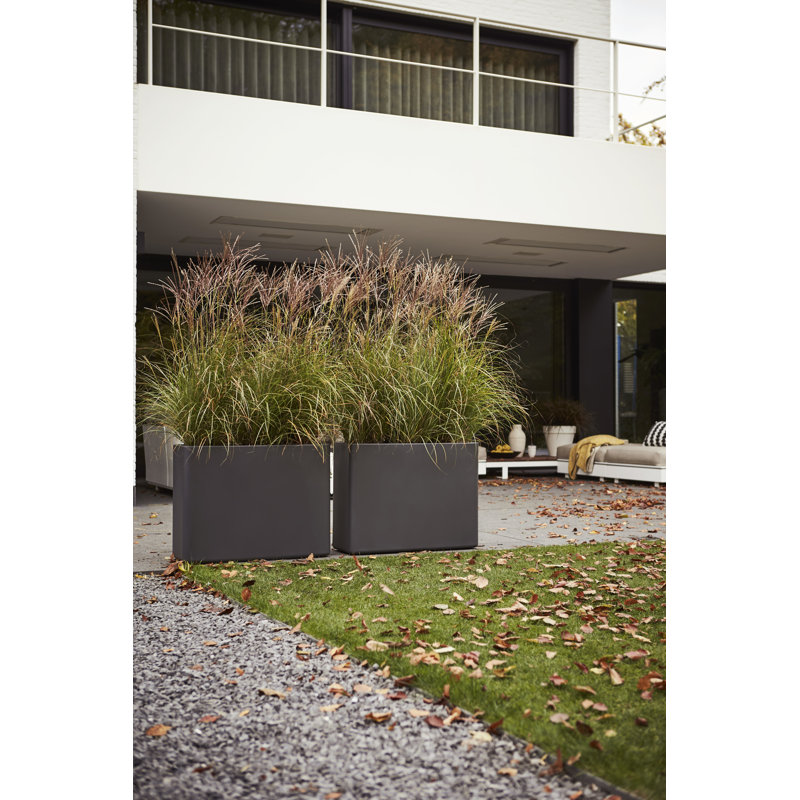Pot Planter, 59cm H x 79cm W x 29.5cm D, Anthracite