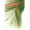 Retro Big Leaf II Reversed by Danhui Nai - Wrapped Canvas Painting