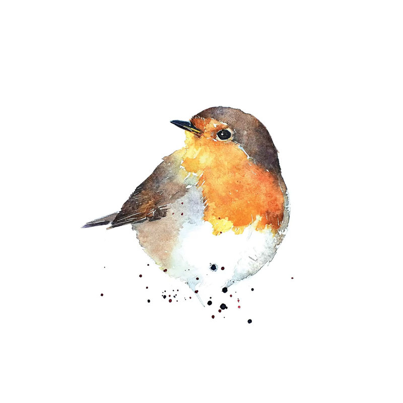 «Red Breasted Robin» par Edswatercolours, reproduction d'art sur toile tendue, H 12 po x l 12 po x P 0,75 po