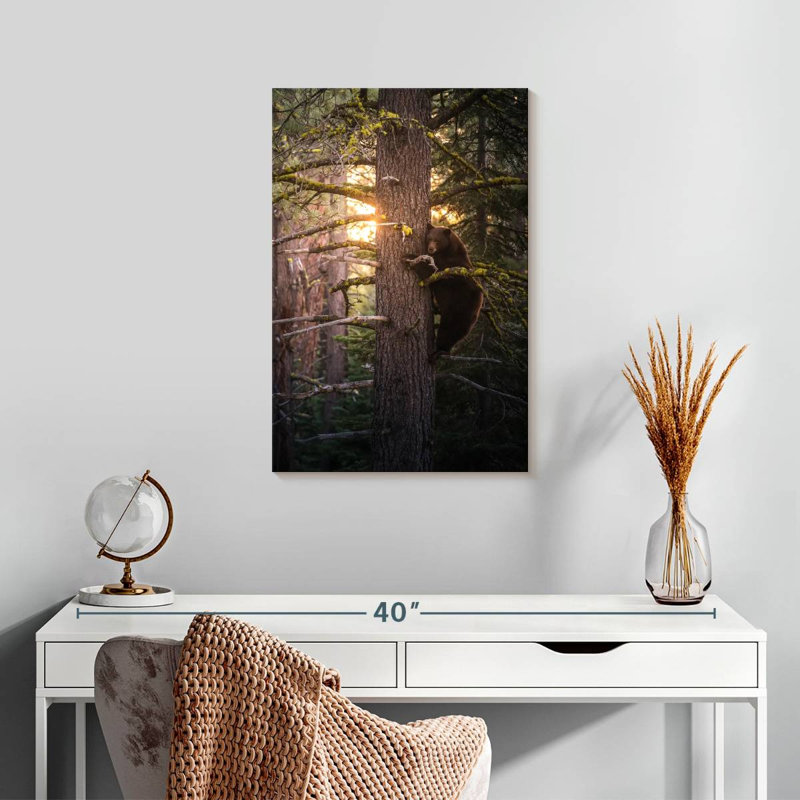 Brampt Bear On A Tree, 24" H x 16" W