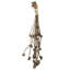 9 Piece Cluster Twig Triple Spring   Set of 12   20"   Natural