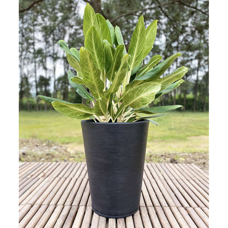 Pot à fleurs en résine Genebra, Noir, H 22,44 po x l 17,32 po x P 17,32 po