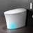 Tankless Bidet Smart Toilet, Chair Height, Booster Pump, Auto/Foot Sensor Flush, Power Outage Flush