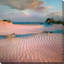 «Little Talbot Island» (imprimé carré)-1694673115-1694673112