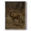 «Vintage Animal Print», reproduction encadrée LVII - bois massif-1819608761