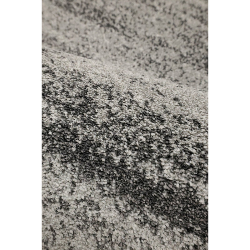 Shianne Oriental Area Rug, Rectangle 120 x 170cm