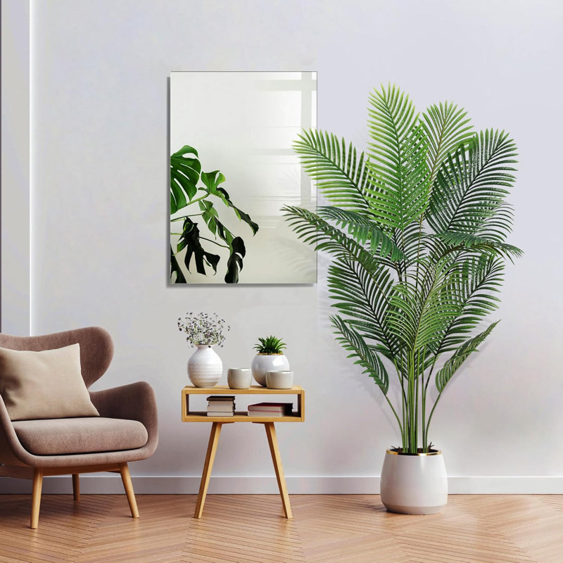 178cm Plant