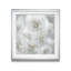 " Blowing Wishes II "-32510010-33030792