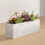 Sydnee 19cm Succulent in Cement Planter