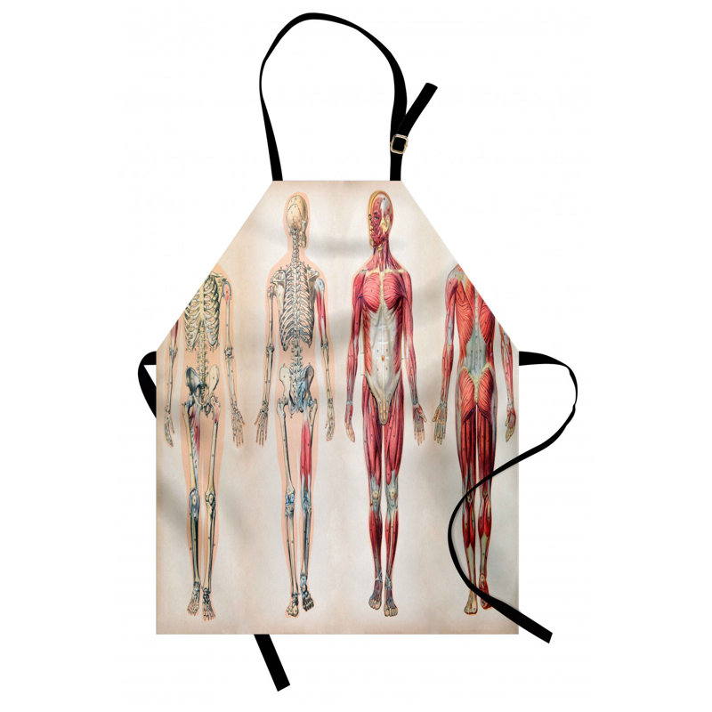 Bib Apron