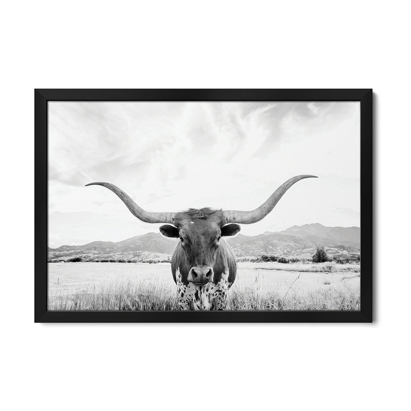 Affiches encadrées Longhorn