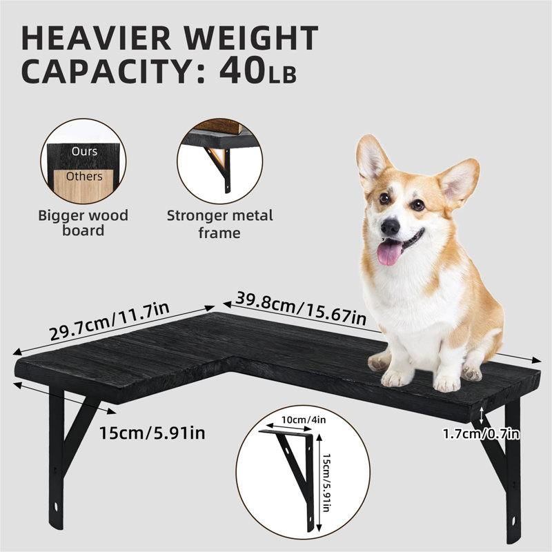 Bhudevi 3 Piece Floating Shelf