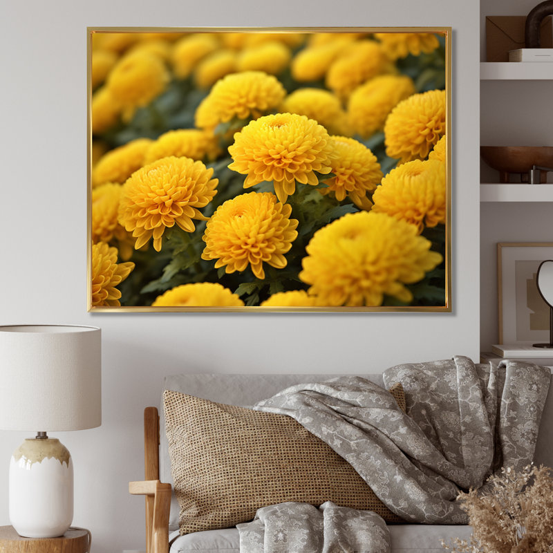 «Yellow Mums in Bloom I» sur toile, H 34 po x l 44 po x P 1,5 po, Cadre flottant doré