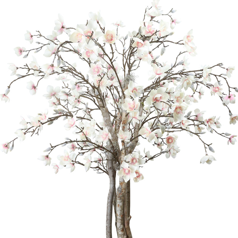Magnolia Tree in Stone Pot